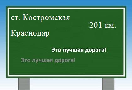 Сколько км от станицы Костромской до Краснодара