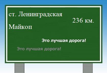 Сколько км от станицы Ленинградской до Майкопа