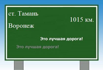 Сколько км от станицы тамань до Воронежа
